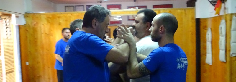 Kung Fu Caserta Italia Accademia di Wing Chun di Sifu Salvatore Mezzone005